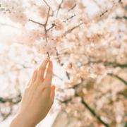 onlinemediums.nl - online medium Isha
