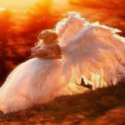 Onlinemediums.nl - online medium Malube Angel